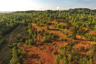 High angle view of trees on landscape against sky