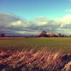 Scenic view of field against cloudy sky