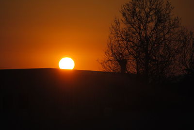 Silhouette bare tree against orange sky