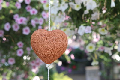 Close-up of heart shape hanging on red flowering plant