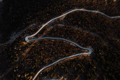 High angle view of zebra crossing on road