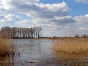 Scenic view of lake against sky