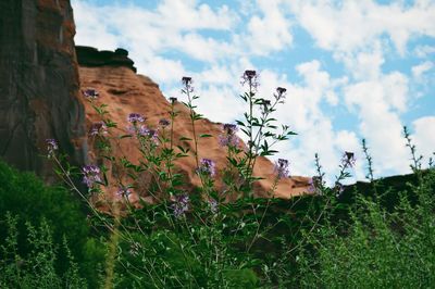 View of landscape against cloudy sky