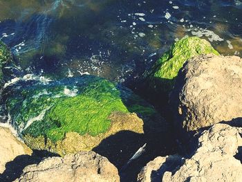 High angle view of rocks in sea