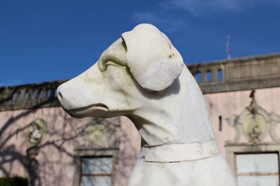 Close-up of dog statue at palacio do marques de pombal