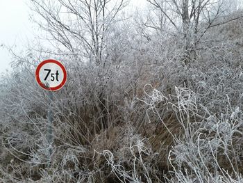 Road sign against bare trees during winter