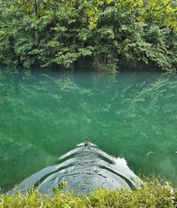 High angle view of people by lake against trees