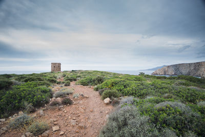 Sardinia, coastal tower of cala domestica in buggerru