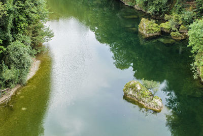 High angle view of lake amidst trees