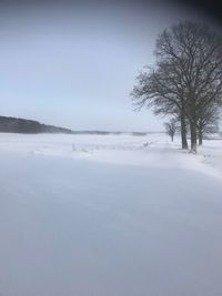 Scenic view of landscape against clear sky during winter