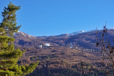 Scenic view of landscape against clear blue sky