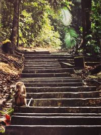 View of people on steps