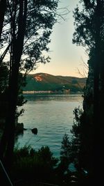 Reflection of trees in calm lake