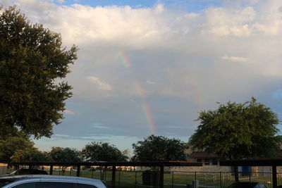 Rainbow over trees against sky