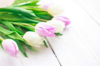 High angle view of pink tulip on table