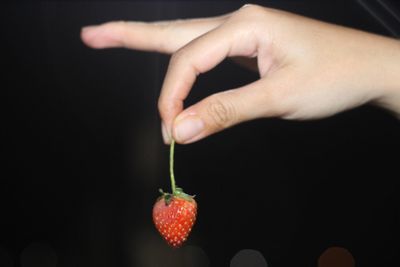 Close-up of hand holding strawberry