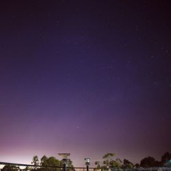 Low angle view of trees against star field at night