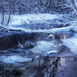 Aerial view of frozen landscape