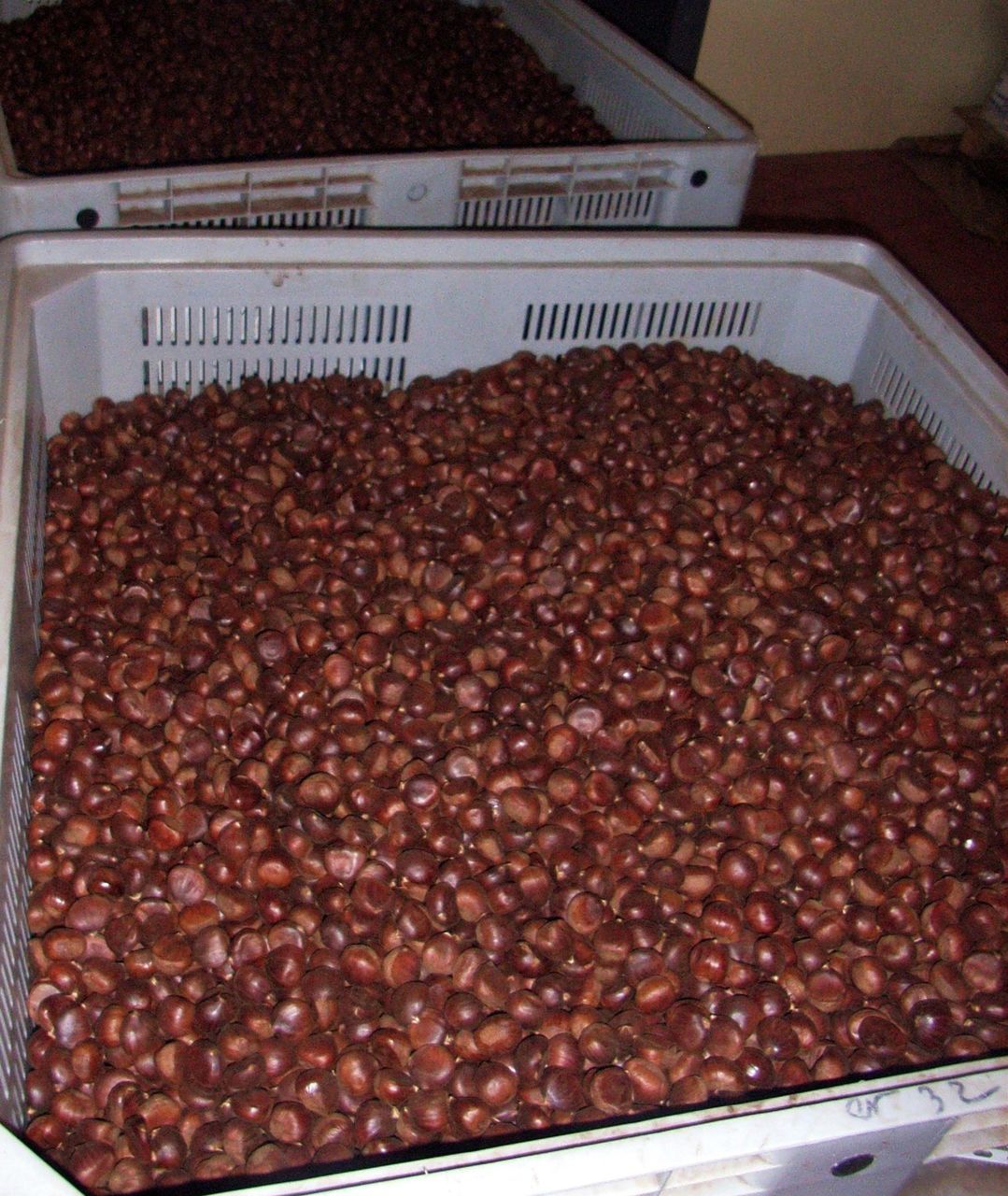 HIGH ANGLE VIEW OF ROASTED COFFEE BEANS IN MARKET