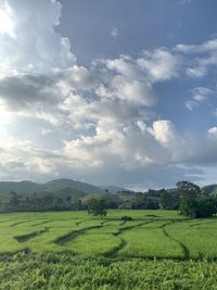 Scenic view of agricultural field against sky