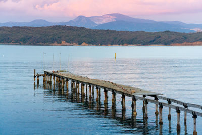 Wooden posts in sea against sky