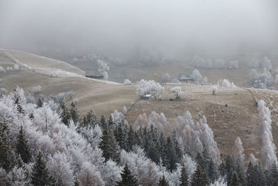 Scenic view of foggy mountains 