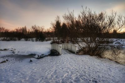 Bare trees on snow field against sky during sunset