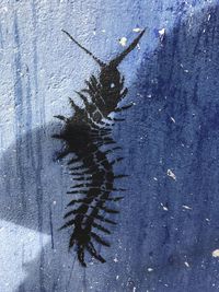 High angle view of dead plant in winter