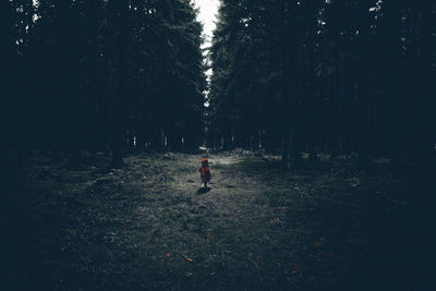 Woman walking on field in forest