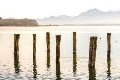 Wooden posts in lake against sky