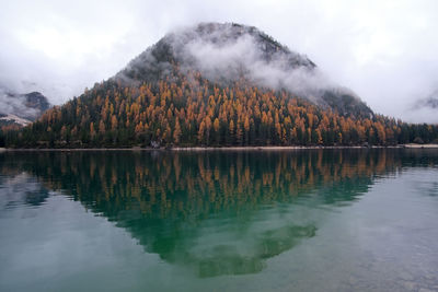 Scenic view of lake by trees against sky