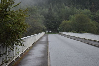 Empty road along trees and plants