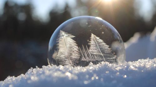Close-up of frozen ball on sunny day