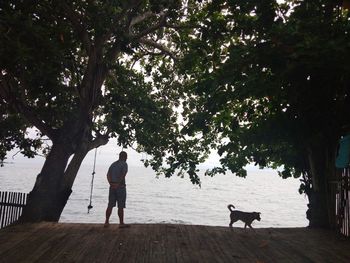 Rear view of man and dog on plant
