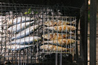 Close-up of fishes on barbecue grill