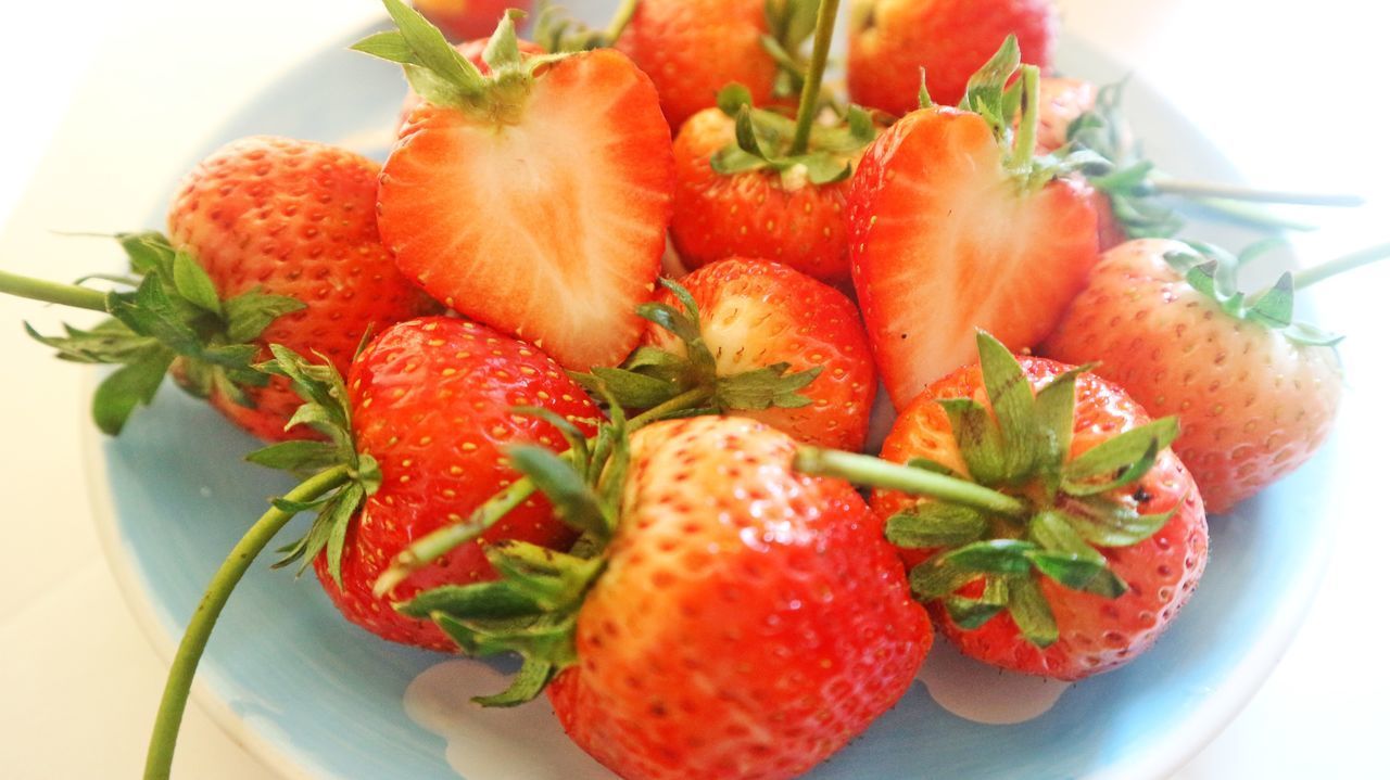 CLOSE-UP OF FRUIT SALAD ON PLATE