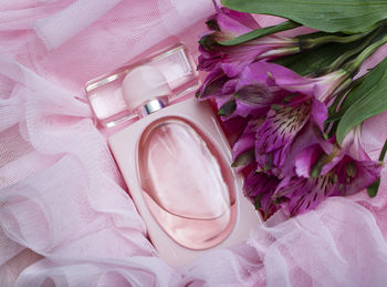 High angle view of pink roses