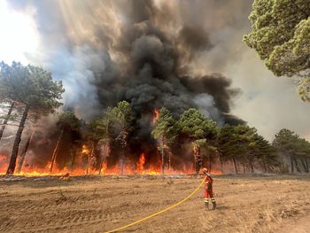 Man fighting with the flames of a forest fire