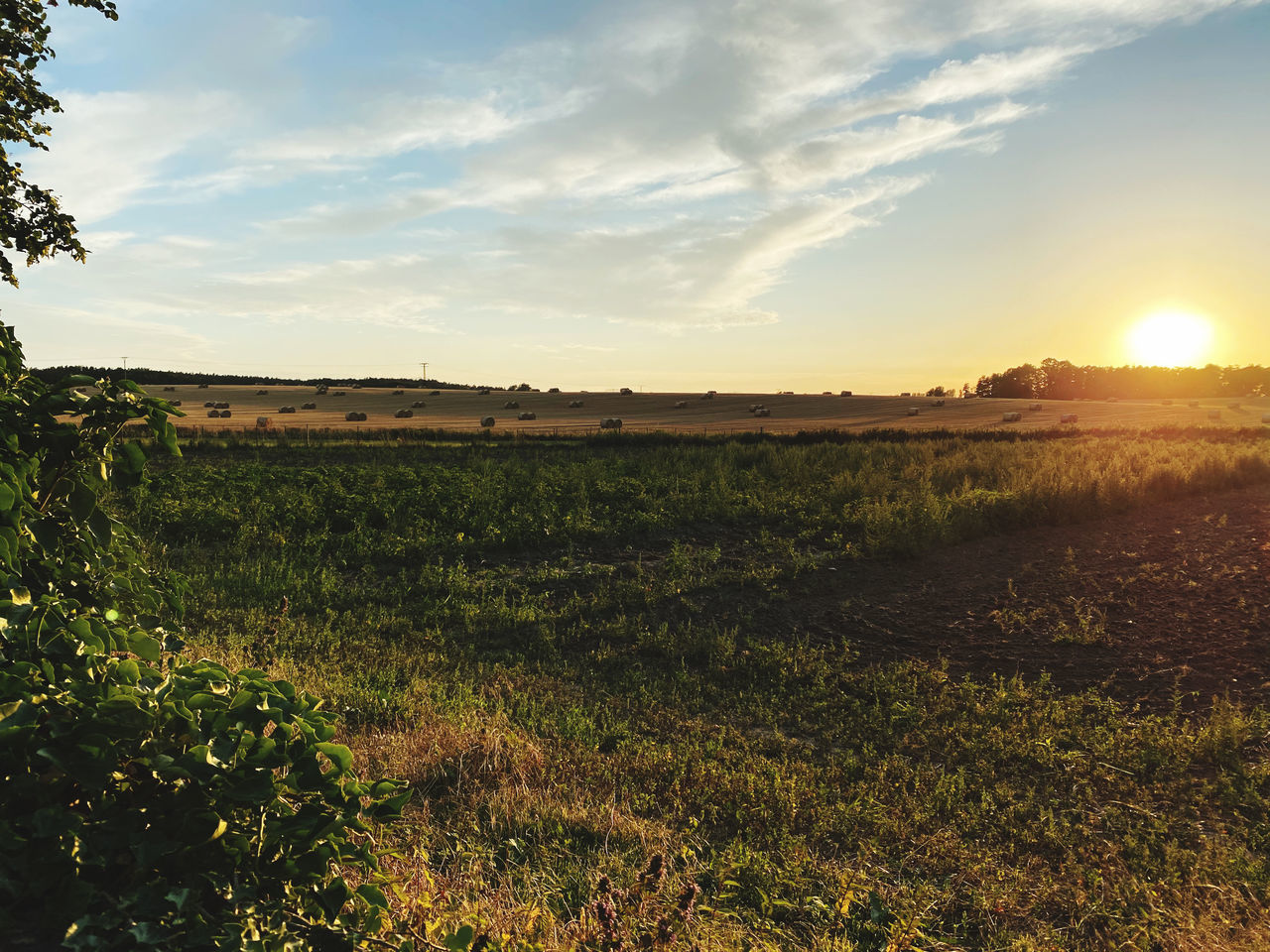 SCENIC VIEW OF FIELD AGAINST BRIGHT SUN