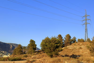 Scenic view of landscape against sky. golden hour light.