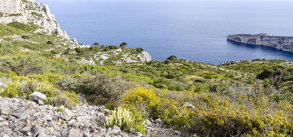 High angle view of sea by cliff