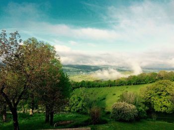 Scenic view of grassy field against cloudy sky