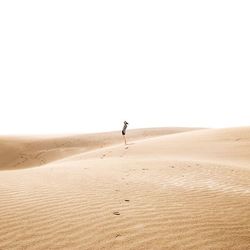 Full length of woman on desert