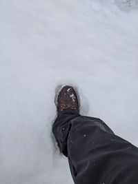 Low section of person on snowcapped mountain