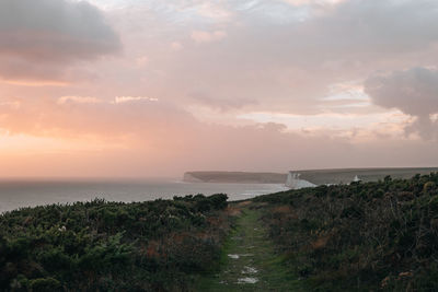 Scenic path by the seven sisters chalk cliffs in east sussex, uk.