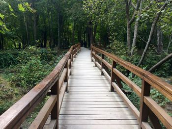 Wooden footbridge amidst trees in forest