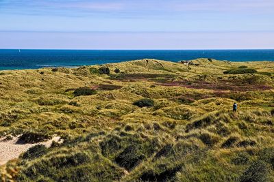 Scenic view of field by sea against sky