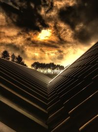 Low angle view of trees against sky