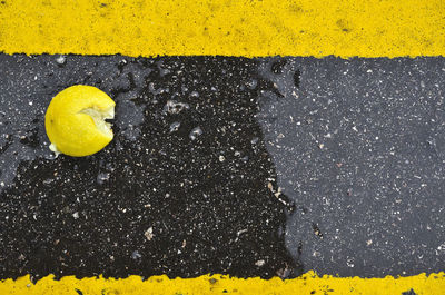 Close-up of yellow flowers on road