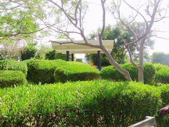 House and trees in park